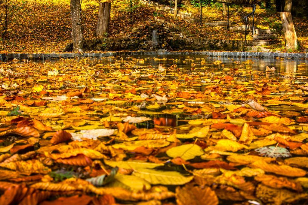 Pensiunea Boema Sinaia Dış mekan fotoğraf