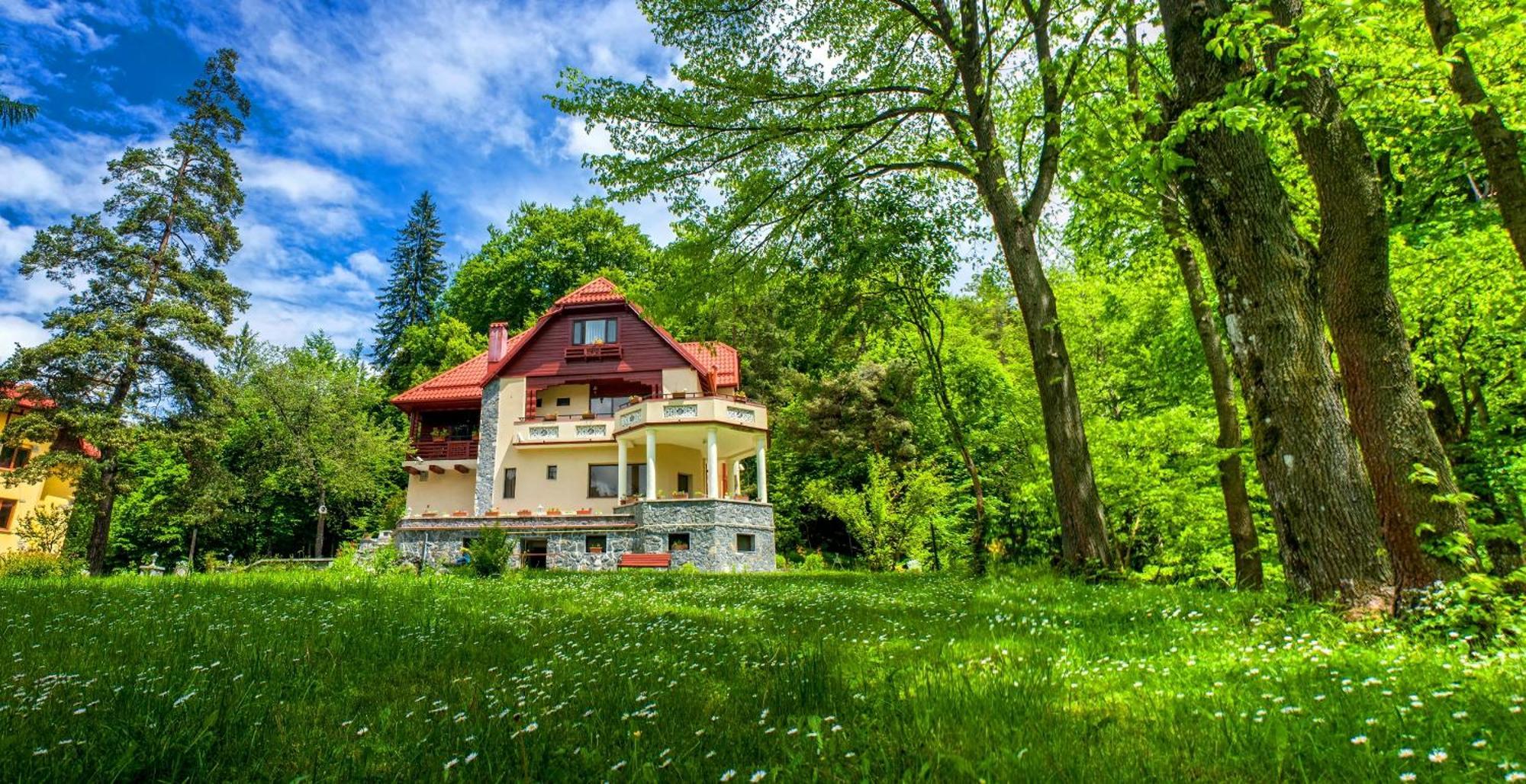 Pensiunea Boema Sinaia Dış mekan fotoğraf